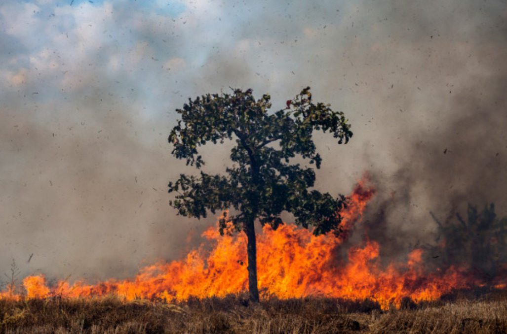 Incêndio_Florestal_Comunhão