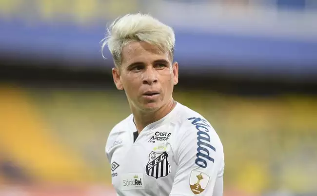 Foto: Ivan Storti/Santos FC