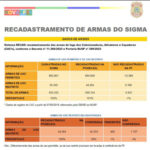 recadastramento de armas