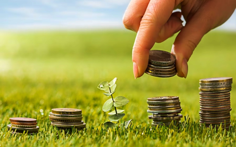 Crédito rural: desembolso na safra 2022/23 até maio supera todo o ciclo 2021/22 - Foto: Reprodução Freek