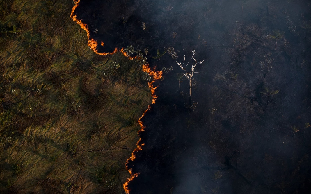 Amazônia tem junho com mais queimadas em 16 anos - Foto: Bruno Kelly/Amazônia Real