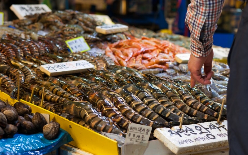 Fukushima: Japão anuncia medidas para ajudar exportadores de frutos do mar, após veto da China - Foto: Reprodução Freepik