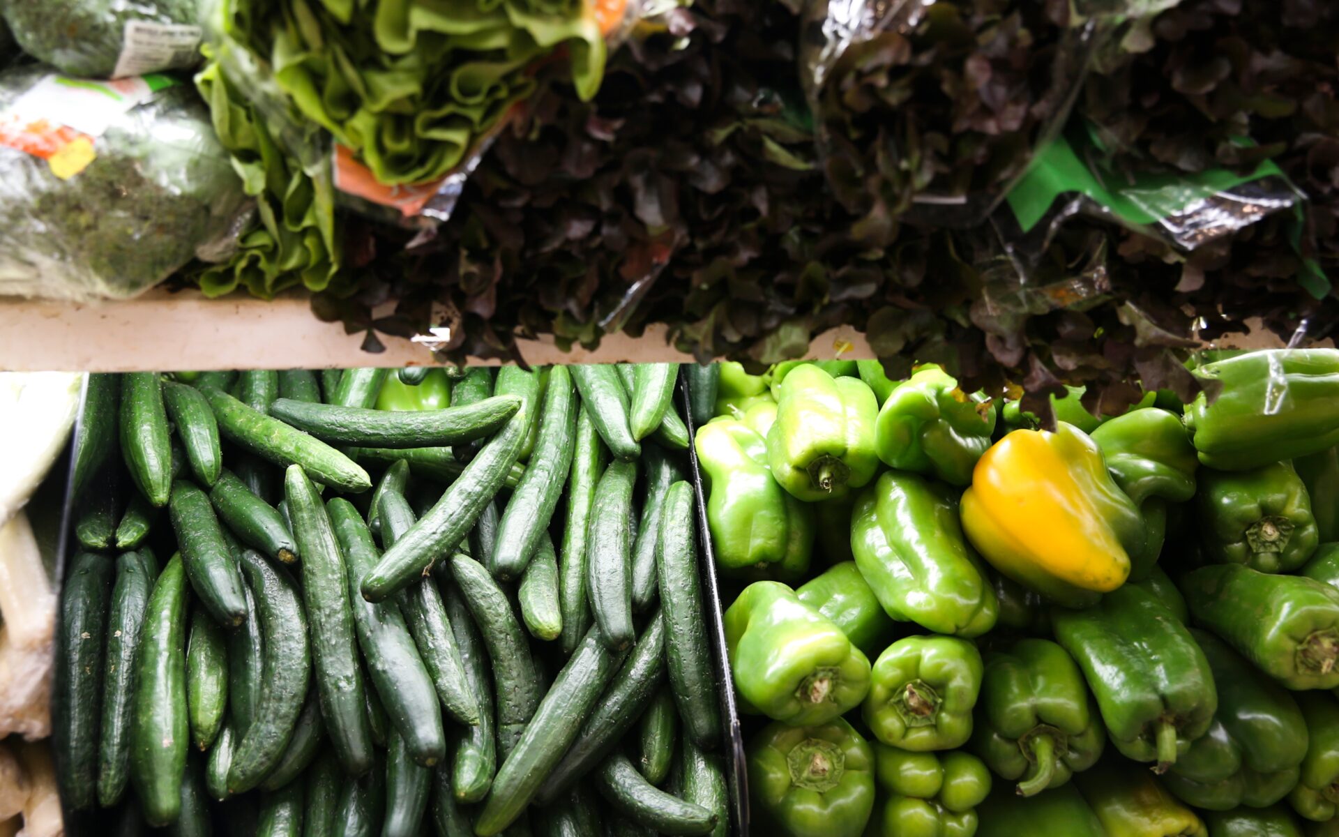 sanção_nova_lei_agrotóxicos_com_vetos