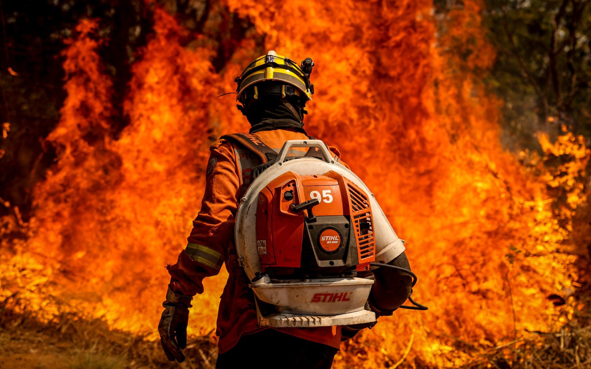 incendios-decreto_comitê