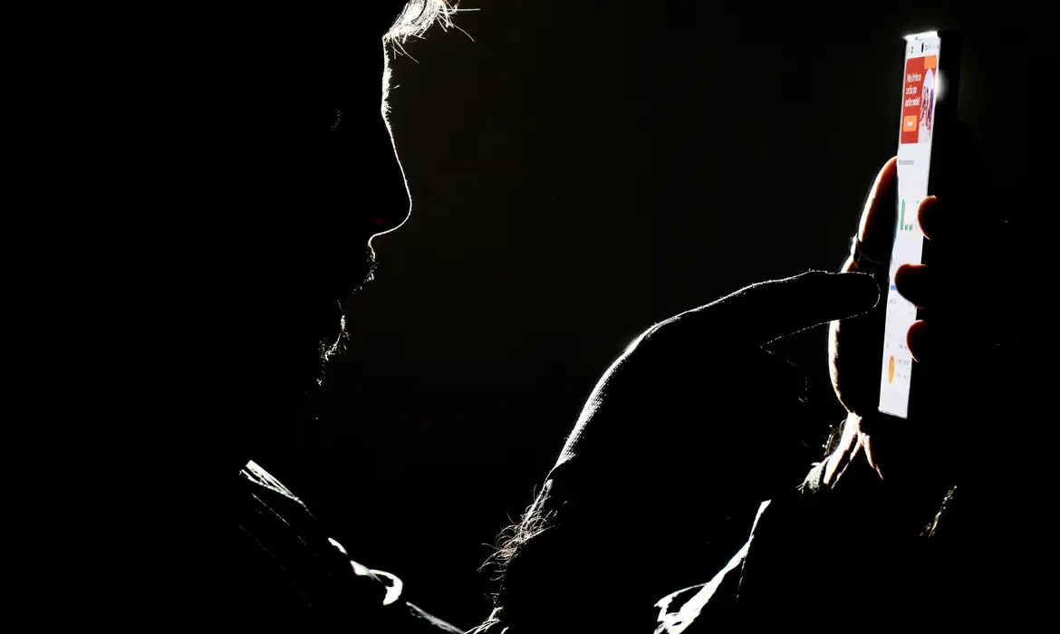 as redes devem ser responsabilizadas pelas postagens ilegais Foto: Joédson Alves/Agência Brasil