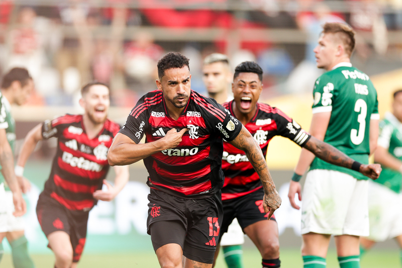 Descubra o que o Flamengo precisa para conquistar o título do Brasileirão 2025 hoje - Foto: Adriano Fontes/Flamengo