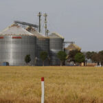 IBGE projeta safra menor em 2026 e liga alerta no campo