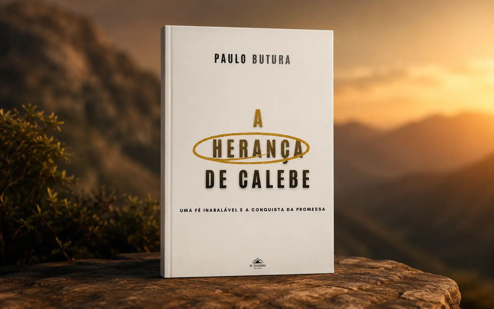 Book rescues Caleb's perseverance through faith